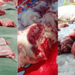 Daging Qurban