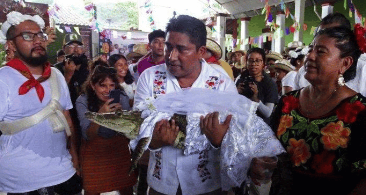 Menikahi Buaya