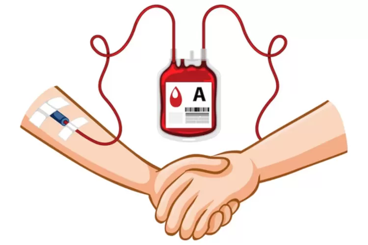 Tujuan Medis Donor Darah Bagi Manusia!