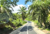 642493378_18448185469107152_8292210133980801597_n