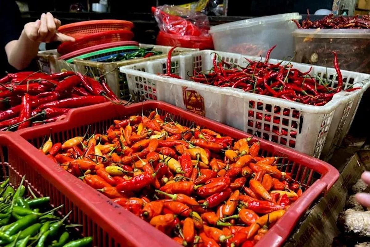 Harga Pangan Hari Ini: Cabai Rawit Merah Tembus Rp68.000 per Kg, Telur Ayam Ras Rp28.500