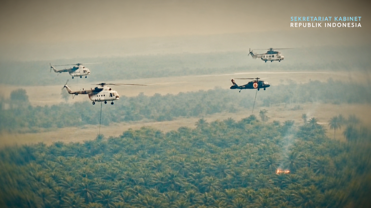 Karhutla: Penyebab, Dampak, dan Cara Mencegah Kebakaran Hutan dan Lahan